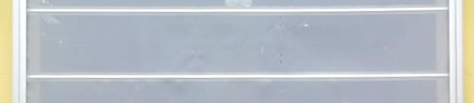 insect model ozel pvc hizli sarmal kapı kafa resmi